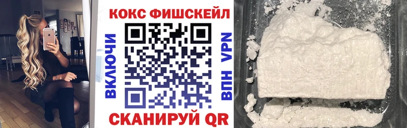 купить  цена  Любань  COCAIN Fish Scale 
