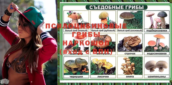 альфа пвп Вяземский
